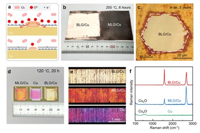 雙面各異 銅上雙層石墨烯的非對稱摻雜機制研究揭示